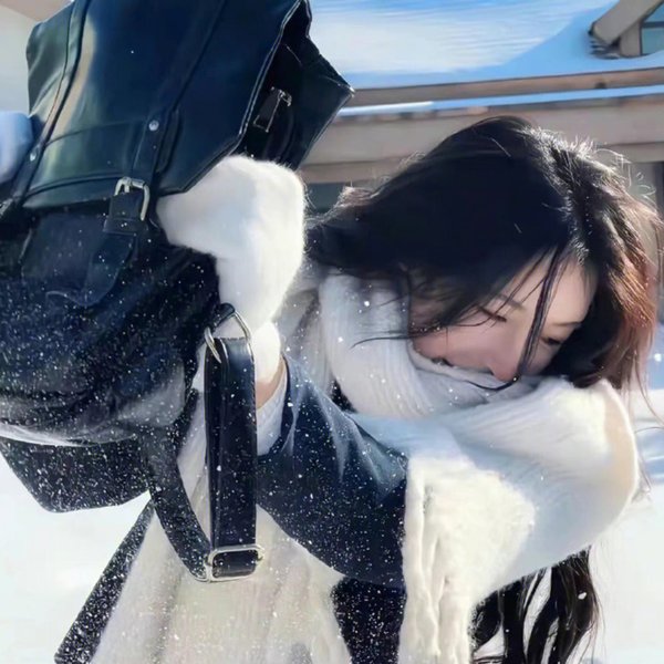 小狐狸
