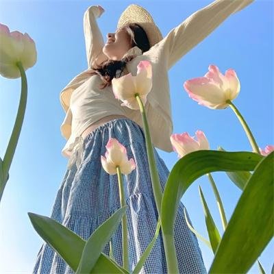 伊甸星原第二季