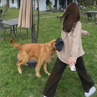 高墙